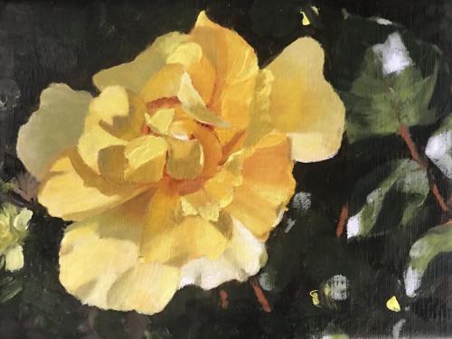 28-5, AcrylLW, 14 x 18 cm, 2020